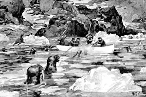 Intention Prints: Men of the Jackson-Harmsworth Polar Expedition hunting walru