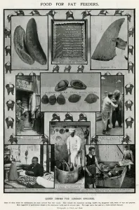 Australian Prints: Menu for London epicures 1906