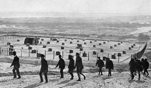 Trained Prints: Messenger dog depot on the Western Front