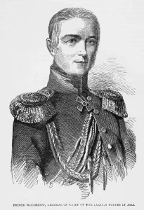 Epaulettes Prints: Mikhail Vorontsov