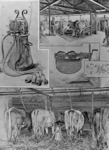 March Prints: Milking by electricity