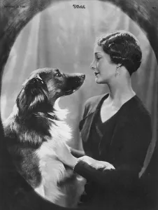 Park Prints: Miss Clare Davidson - In Committee with Bruno