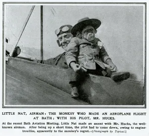 Aviator Prints: Monkey making flight at Bath Aviation Meeting 1912