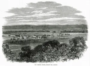 Indies Prints: MORANT BAY The Hordley Estate. Date: 1865