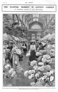 Seller Prints: Morning at the flower market in Covent Garden, 1905