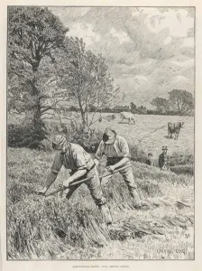 2007 Prints: Mowing Clover