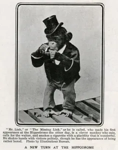 Human Prints: Mr Link, monkey appearing at the Hippodrome 1906