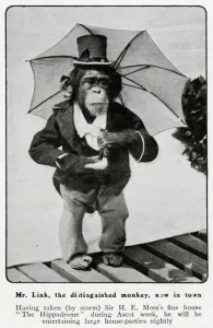 Human Prints: Mr Link, monkey appearing at the Hippodrome 1906