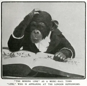 Human Prints: Mr Link, monkey appearing at the Hippodrome 1906