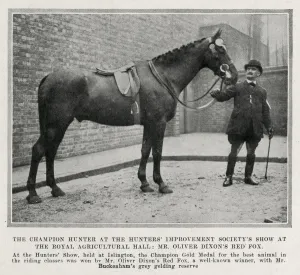 Medal Prints: Mr Oliver Dixons Red Fox - The Champion Hunter