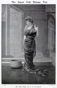 Unusual Prints: Mrs Arthur Cadogan with her pet boa-constrictor