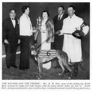 Derby Prints: Mrs R. H. Dent with the Greyhound Derby trophy and Wattle Bar