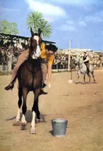Feb16 Prints: Mrs Ritchie competing at the Marsa Club, Malta