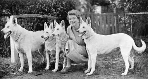 Shepherds Prints: Mrs Thelma Gray, dog breeder
