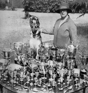 Prize Prints: Mrs Thornton - breeder of champion Alsatians