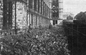 Museum Prints: Natural History Museum, WW1 farm