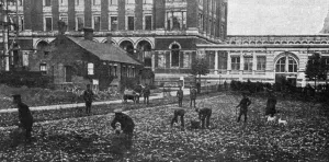 Museum Prints: Natural History Museum, WW1 farm