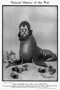 Lion Prints: Natural History of the War by Bruce Bairnsfather