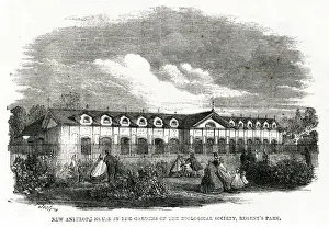 1861 Prints: New antelope house - Gardens of Zoological Society 1861