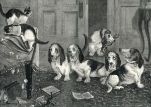Cats Prints: A new dog-fancy: the Basset Hounds by Louis Wain