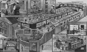 Cage Prints: New Reptile House at London Zoo by G H Davis