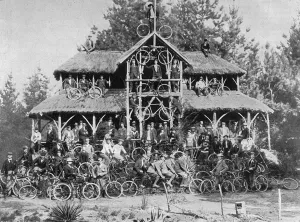 Unusual Prints: New Zealand bicycle display
