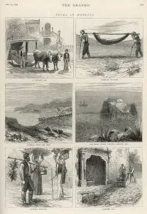 Madeira Prints: NOTES IN MADEIRA