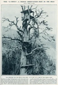 Observation Prints: O- Pip A French observation post in a tree