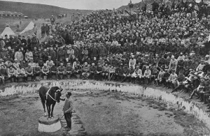 Amusement Prints: An open-air circus, recreation in Salonika, WW1