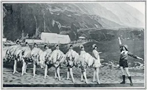 Year Prints: An ostrich farm in South Africa, Hoffman Girls at Hippodrome