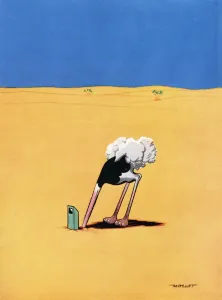 Desert Prints: Ostrich by Mallett