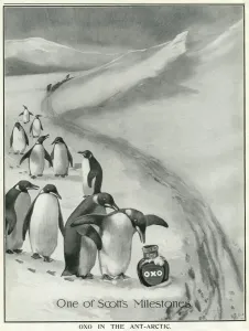 Antarctic Prints: Oxo advertisement - Scott Antarctic expedition endorsement