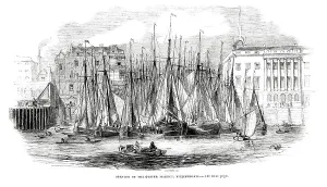 Opening Prints: Oyster Boats outside Billingsgate Fish Market, London 1843
