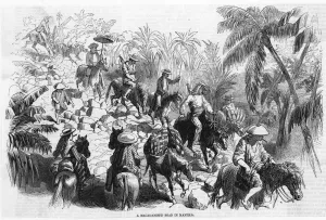 1857 Prints: Pacific Philippines