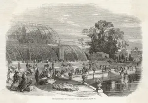 Palm Prints: Palm House, Kew