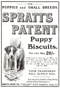 Manufacturer Prints: Patent biscuits for dogs. Date: 1907