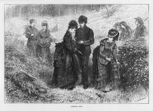 Gather Prints: People Gathering Ferns