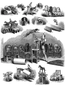 1877 Prints: Performing dogs
