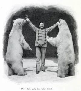 Animal Prints: Performing polar bears 1903