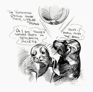 Animal Prints: Performing seals at the London Hippodrome
