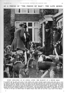 Dramas Prints: Photo of Queen Alexandra inspecting hounds at a show