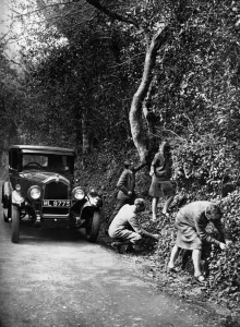 Drive Prints: Picking berries by the roadside, 1927