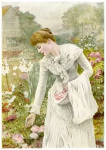 Operations Prints: Picking Flowers 1894