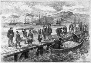 Marine Prints: Picture No. 10082205