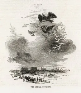 Pigeon Prints: Pigeon Flock / Ascot