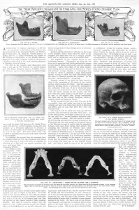 Report Prints: Piltdown Man article- The most ancient inhabitant of England