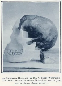 Discovery Prints: Piltdown Skull