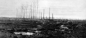 Poisonous Prints: The Poisoning of Langemarck