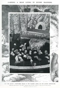 Unusual Prints: Polars bears at the London Hippodrome, January 1910
