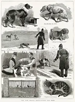 1885 Prints: Police were enforcing the new regulations to muzzle dogs due to the rabies infection